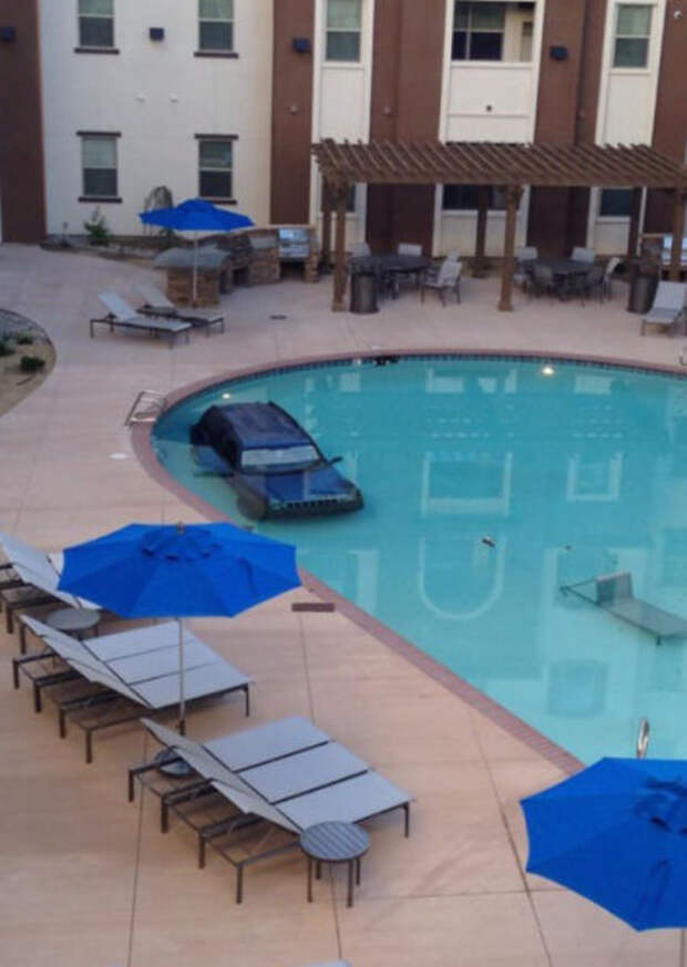 Хорошее настроение в прикольных фото и картинках (49 шт)