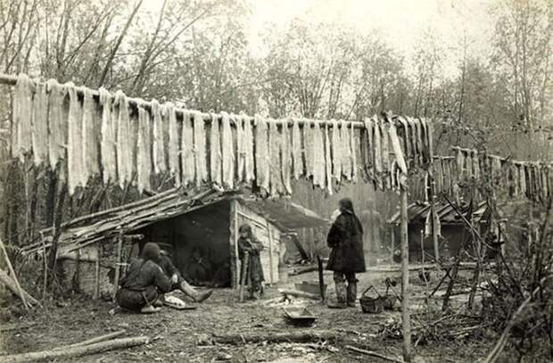 Заготовка юколы (вяленой рыбы) в Якутии, 1912 год россия, рыбаки, фото