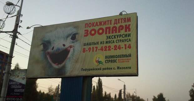 А некоторые вывески просто выносят мозг  прикол, шашлык, юмор