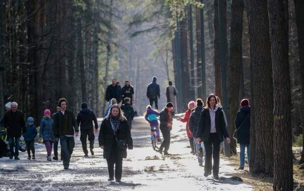 Скандинавский антициклон не даст прогреться Петербургу 8 апреля