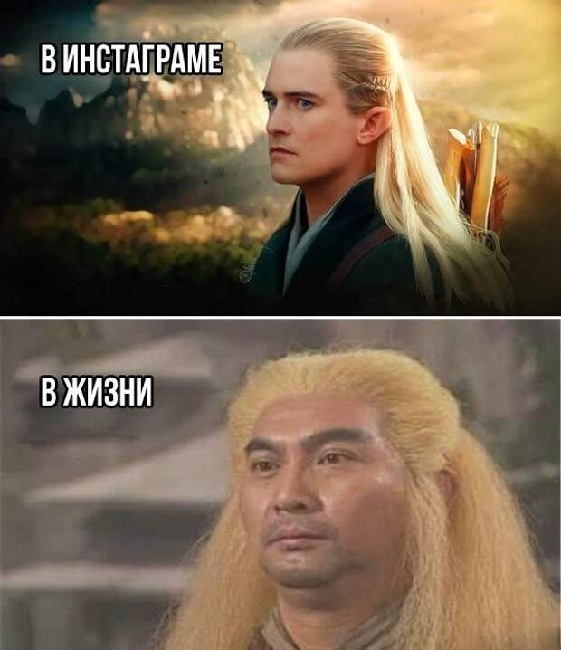 Смешные картинки с подписями (20 картинок)