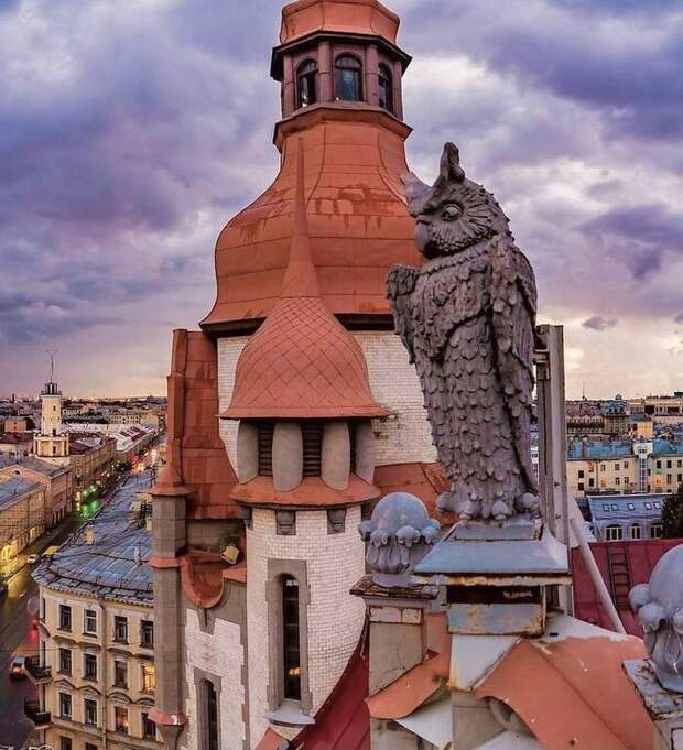 Окно из парадной с видом на башню и самый необычный двор-колодец