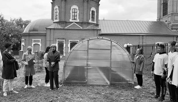 Фонд «Милосердие» защищает голубые ели от вырубки