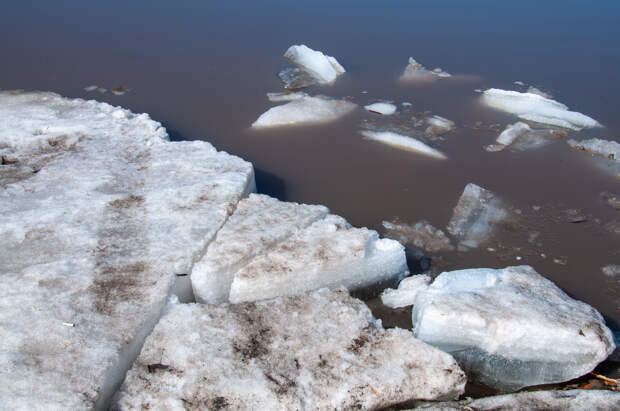 Волонтеры бросили клич о помощи для поиска троих детей в Подмосковье
