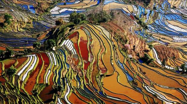 7. Рисовые поля, Юаньян, Китай красота, мир, природа, туризм