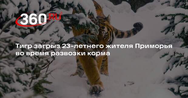 Тигр загрыз 23-летнего жителя Приморья во время развозки корма