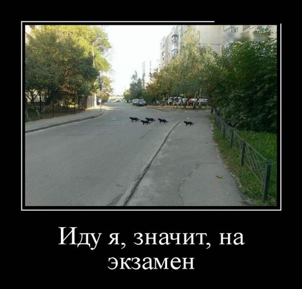 Демотиваторы (30 фото)