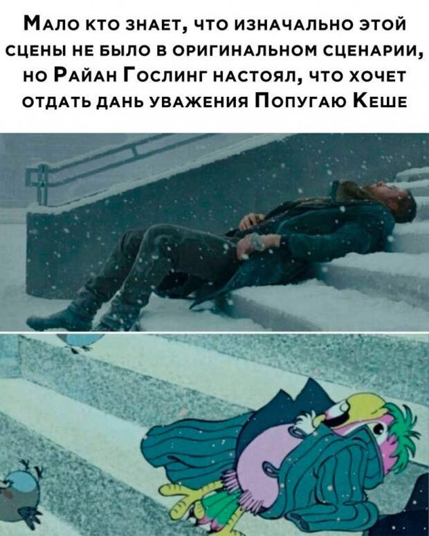 мем