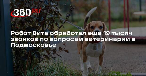 Робот Вита обработал еще 19 тысяч звонков по вопросам ветеринарии в Подмосковье