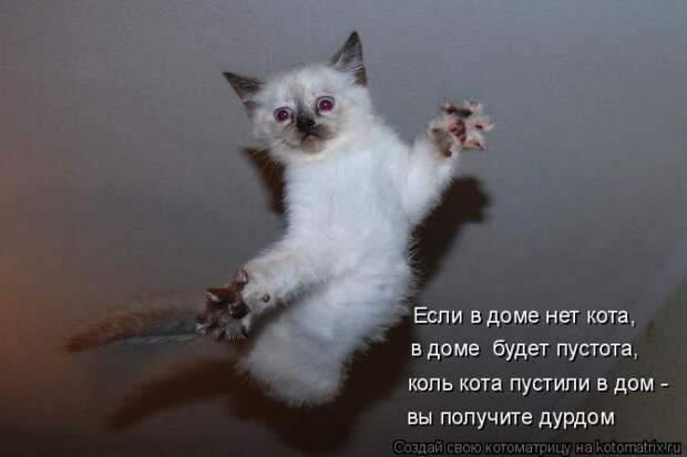 Мысли вслух :)