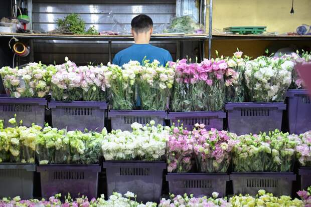 Россиянам рассказали о ценах на цветы ко Дню святого Валентина