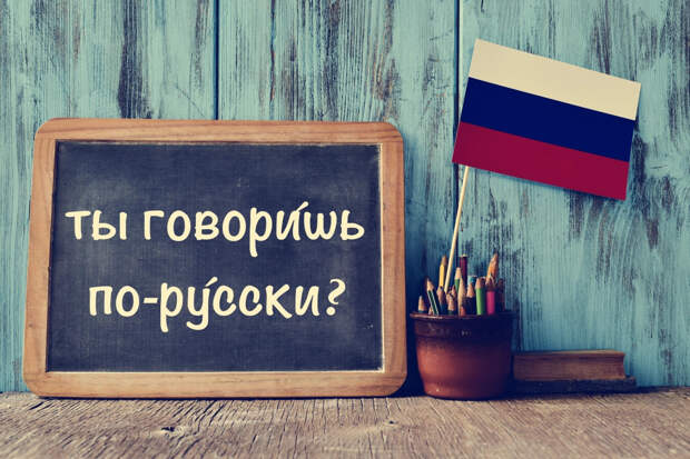Щавель, красивее, каталог: ударения и правописание неологизмов чаще всего ищут в Сети
