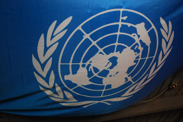 Турция выступила за отмену права вето в Совбезе ООН 