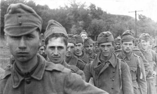 Почему на Воронежском фронте венгров не брали в плен