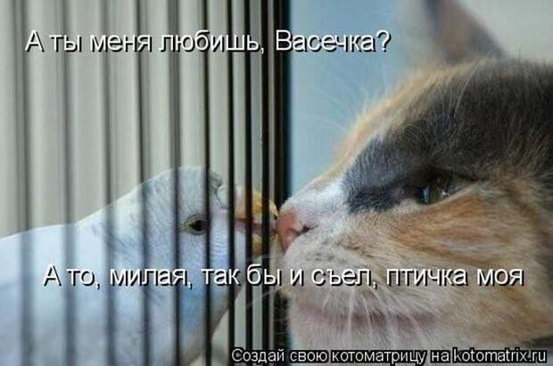 Мысли вслух :)