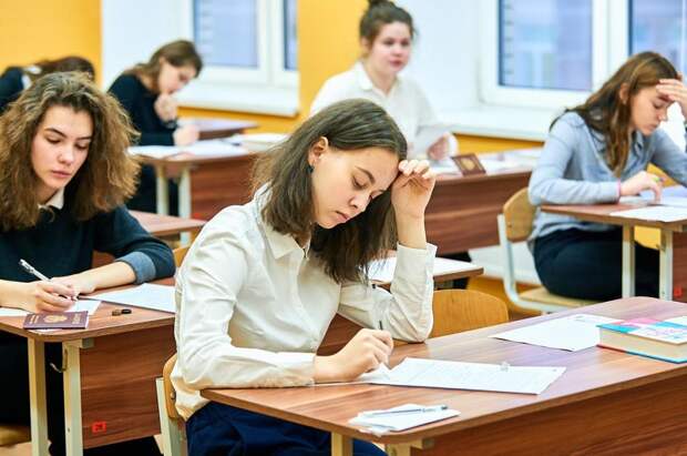 Во время сдачи ЕГЭ по русскому языку выпускникам попался странный текст про лопату. Школьники не растерялись