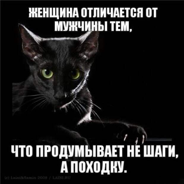 Интересные фразы с картинками о жизни и с юмором.