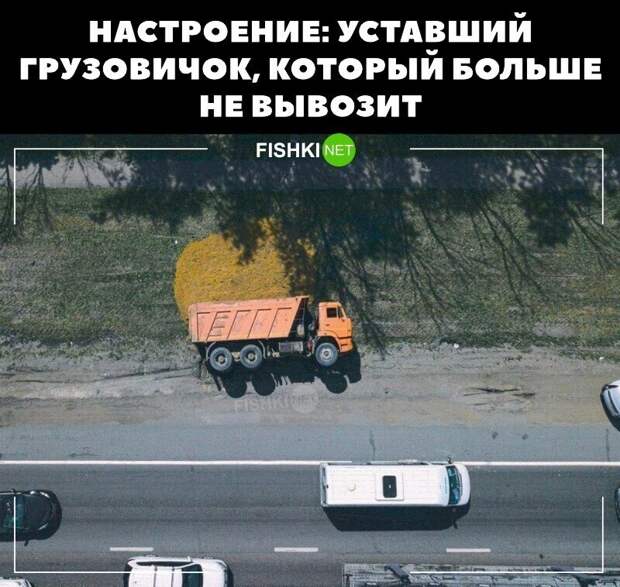 7. Все мы немного этот грузовичок 7. Все мы немного этот грузовичок