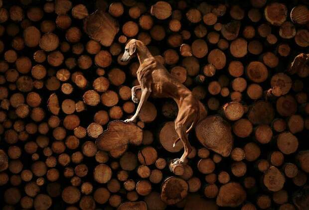 Sanna Sander Sanna Sander