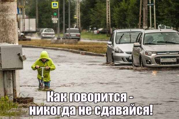 Прикольные картинки. Дневной выпуск (50 фото)