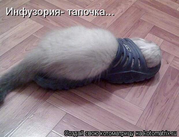 Мысли вслух :)