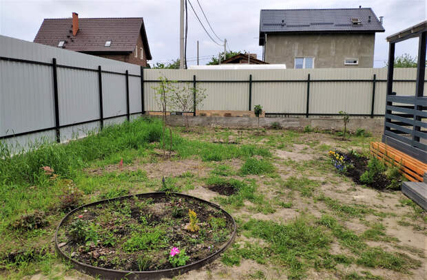 Полоть или не полоть - вот в чем вопрос