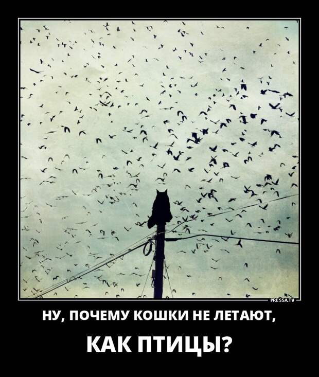 Демотиваторы