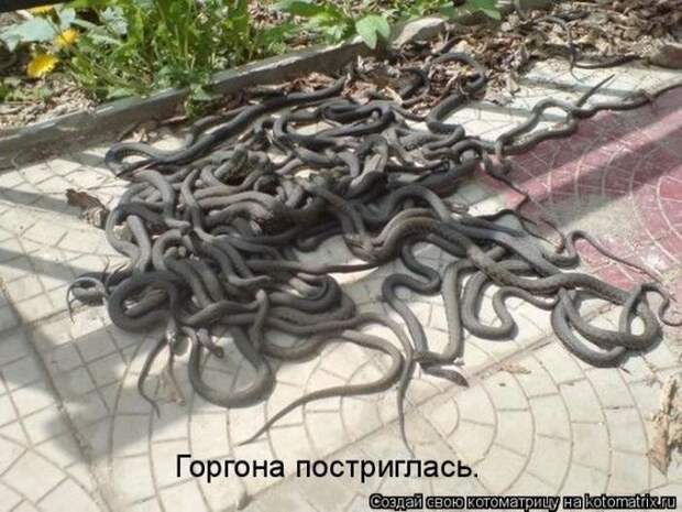 Мысли вслух :)