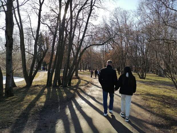 Потепление до +10 градусов вернется в Петербург с 20 марта