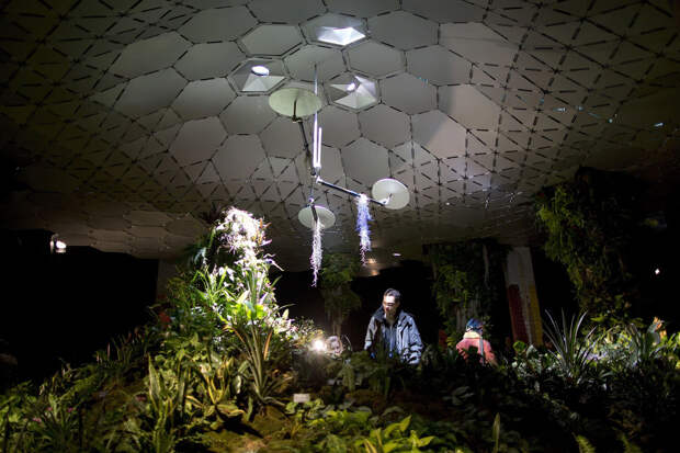 Lowline Lab