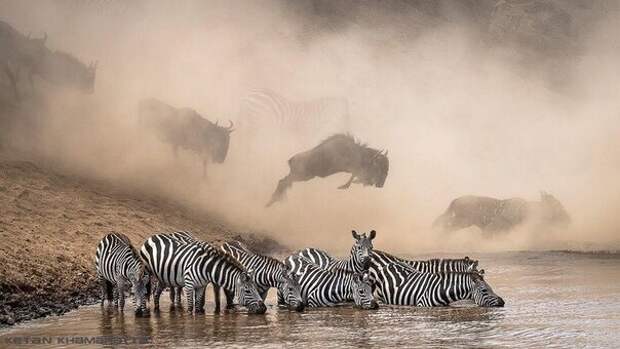 10 самых неповторимых фотографий 2019 года по версии National Geographic