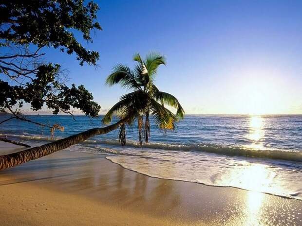 Гваделупа Пляж де Клюни