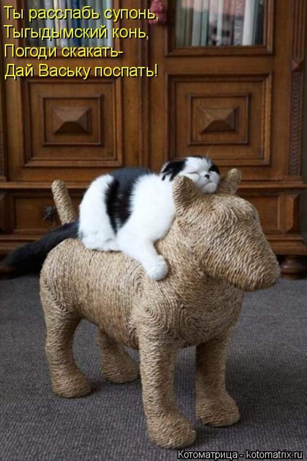 Забавные котоматрицы