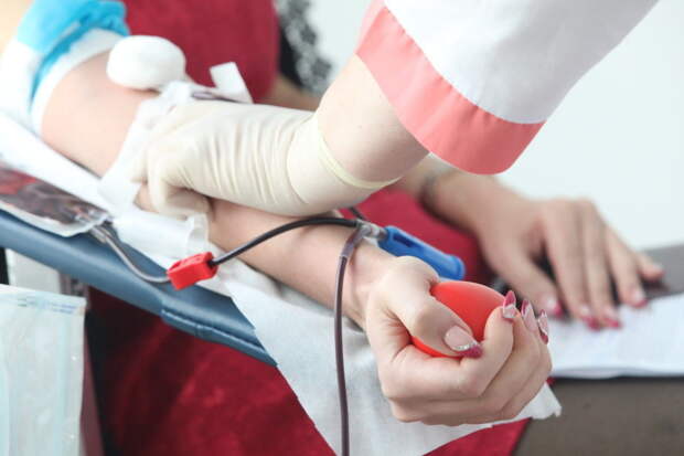 В Петербурге стартовала неделя донорства крови