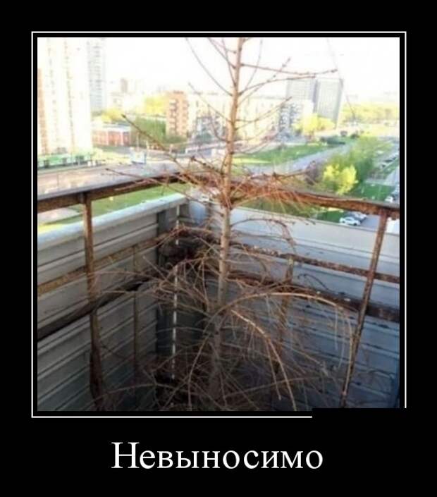 Демотиваторы (30 фото)