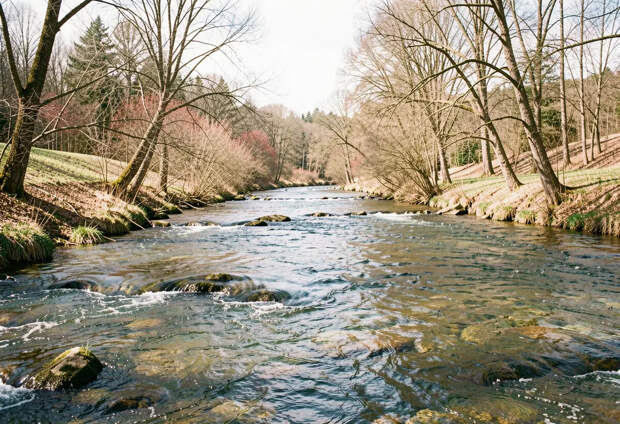 Одесса может остаться без воды. На Днестре появилась масляная пленка