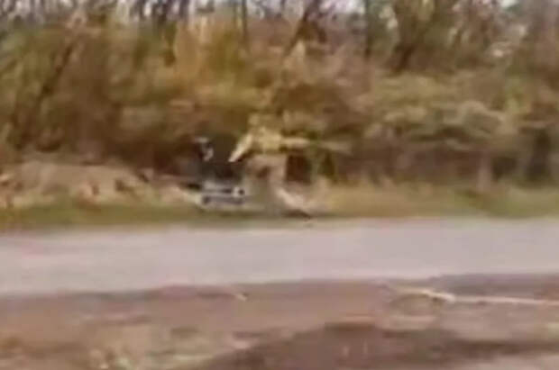 Снайперши на велосипедах замечены в ВСУ: главная новость СВО 17 апреля