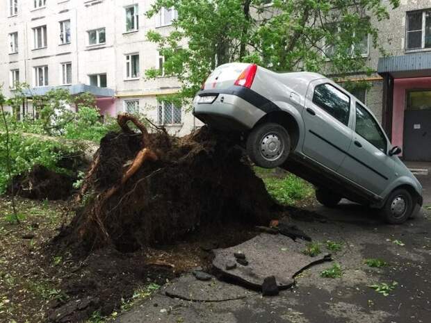 На Москву обрушился ураган (18 фото) На Москву обрушился ураган (18 фото)
