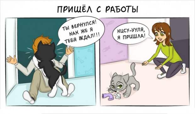 Как отличается жизнь с кошкой и жизнь с собакой 