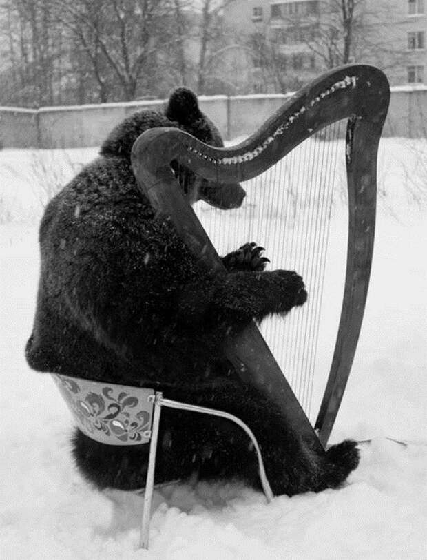 русские