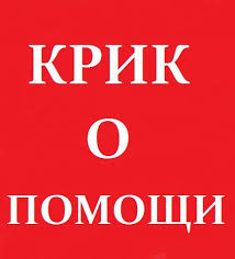 Эти малыши очень рискуют! Друзья, давайте вместе поможем этим котяткам избежать страшной участи!