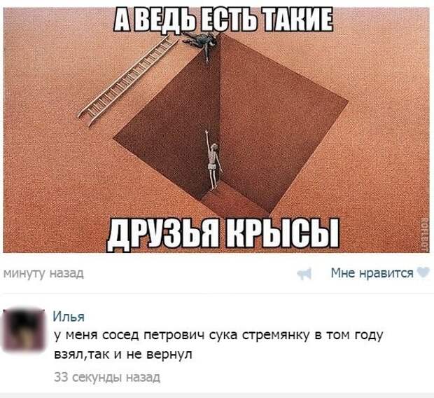Смешные картинки с надписями Смешные картинки с надписями прикол, юмор