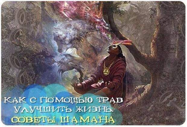 Как с помощью трав улучшить собственную жизнь Как с помощью трав улучшить собственную жизнь