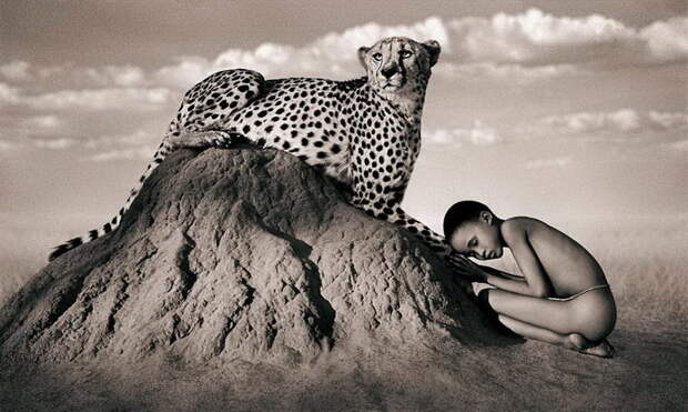 Люди и животные в фотографиях Gregory Colbert Люди и животные в фотографиях Gregory Colbert