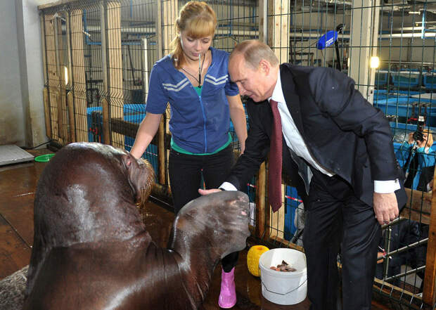 Как Владимир Путин смотрит на вещи