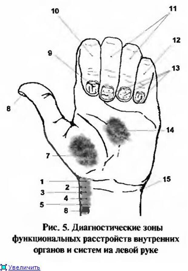 Огулов схема лица