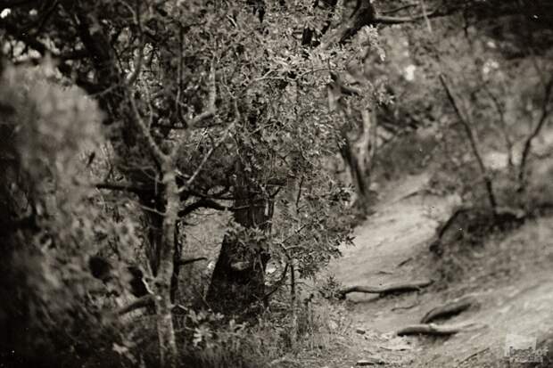 0502 Лучшие фотографии России 2011. Номинация “Природа”