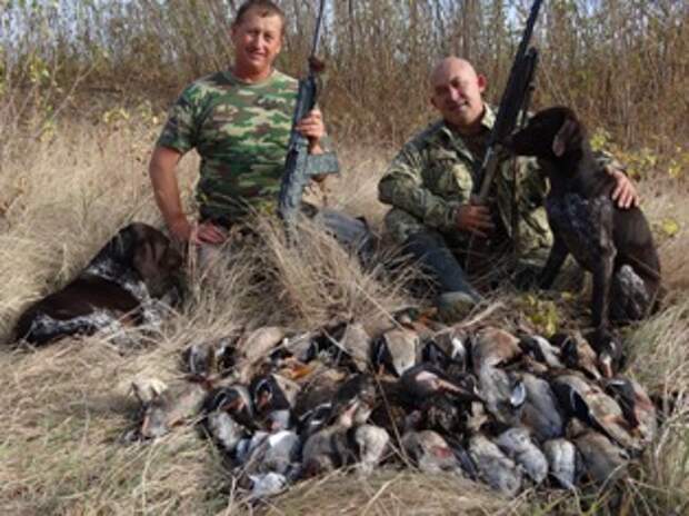 С какого числа открывается охота. Охота в Астрахани на утку в 2021 году. Охота на утку в Астраханской области.