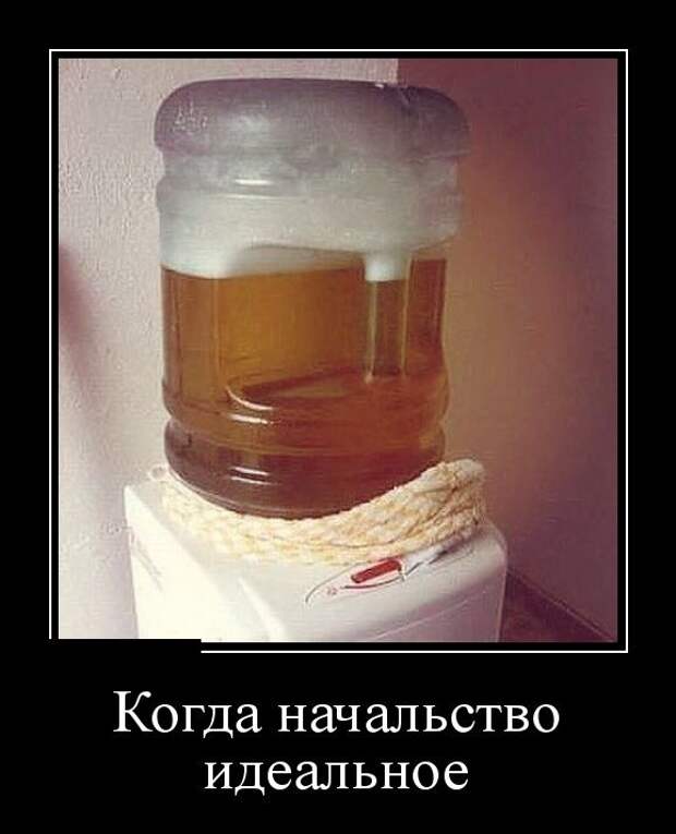 Демотиваторы (30 фото) Демотиваторы (30 фото)