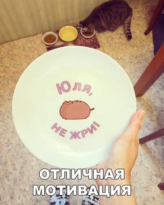 Новые прикольные фотомемы (22 шт)